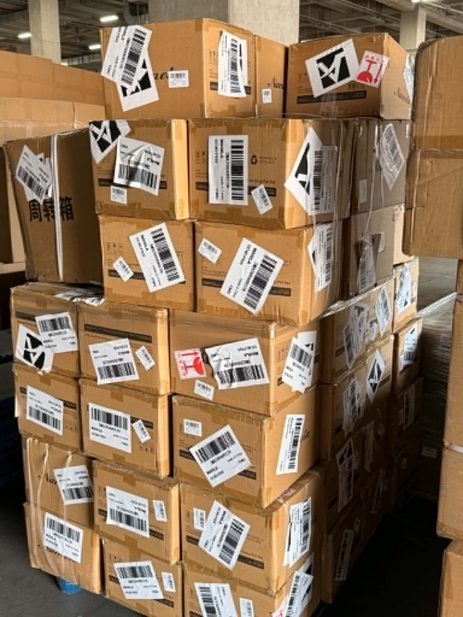 Labeled cartons ready for dispatch